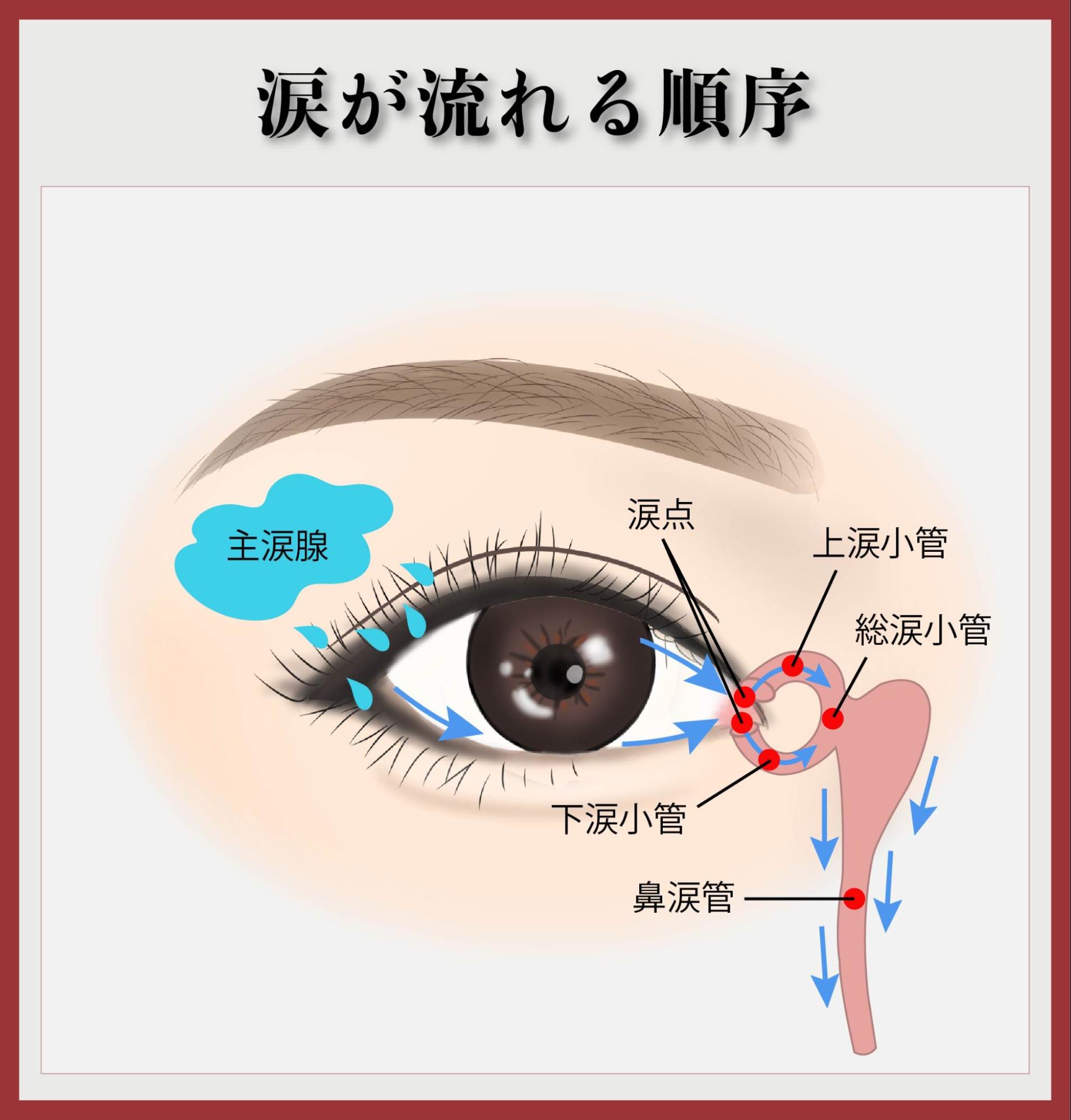 涙が流れる順序